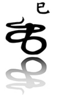 Image d'un serpent avec son année en caractères chinois