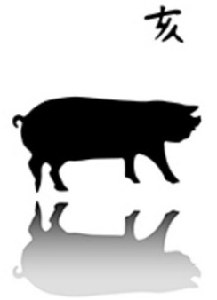 L'image d'un cochon avec son année en caractères chinois