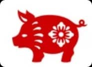 Signe chinois du Cochon (b)