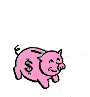 Tirelire cochon