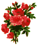 Un bouquet de fleurs