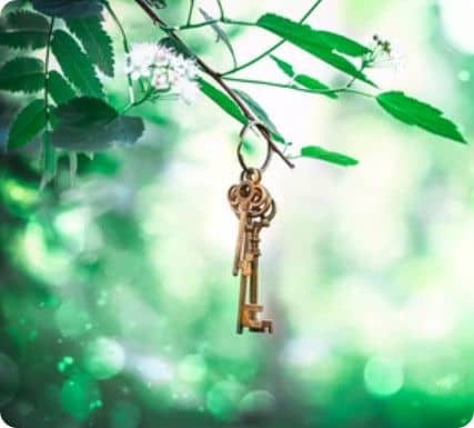 Photo artistique d'une clé accrochée à une branche d'arbre