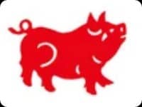 Signe chinois du Cochon (a)